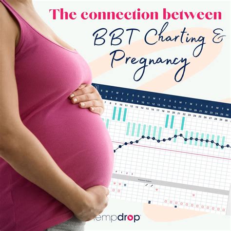 Bbt Charting: Get Pregnant Faster