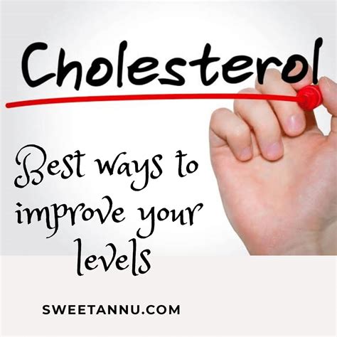 Best Ways To Improve Your Cholesterol Levels Sweetannu