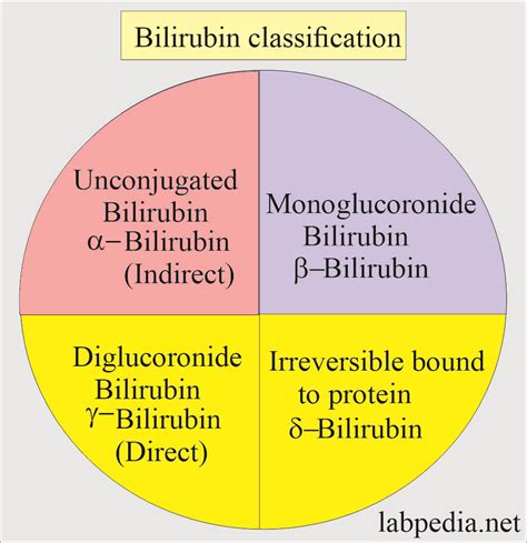 Bilirubin Direct Bilirubin