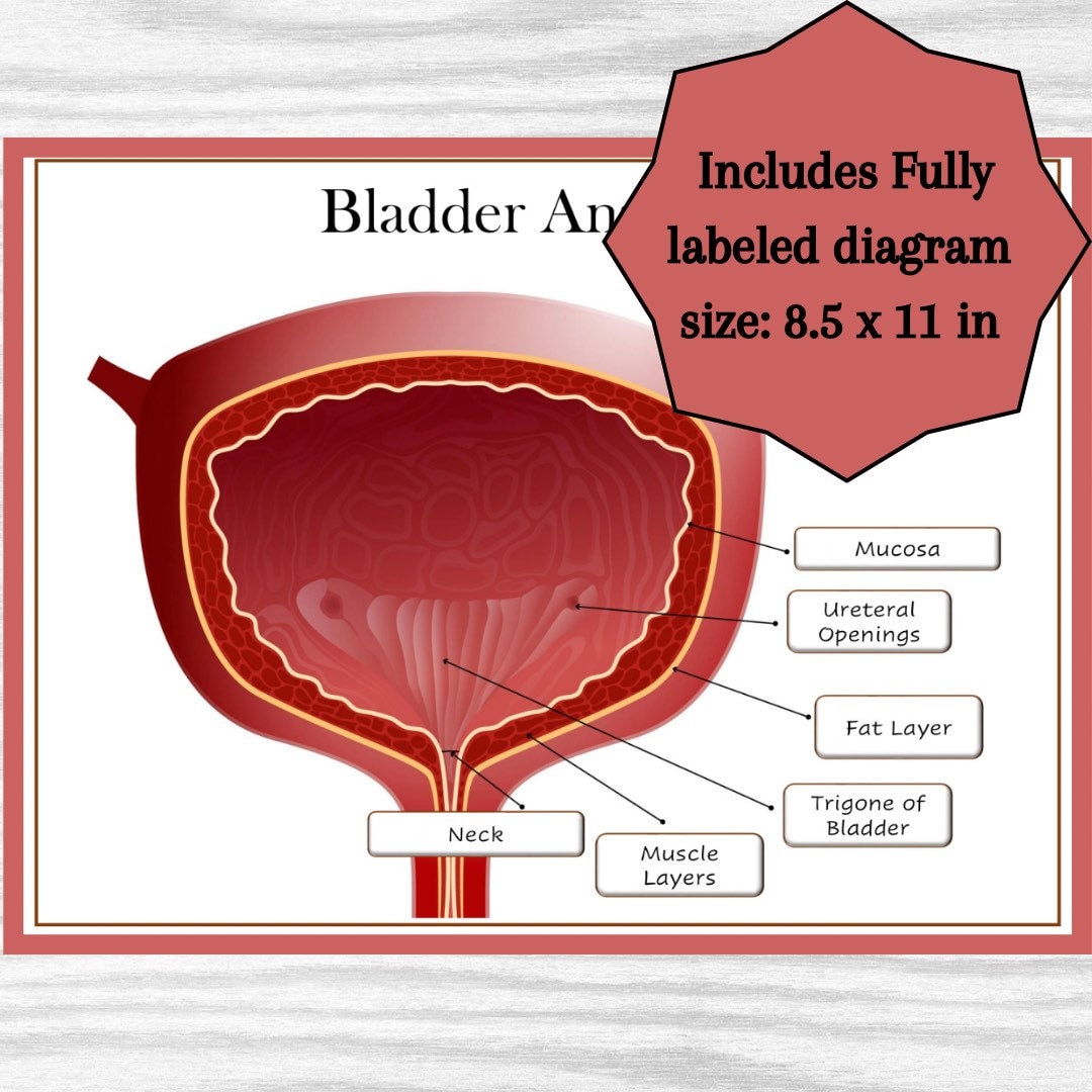 Bladder Sling Procedure