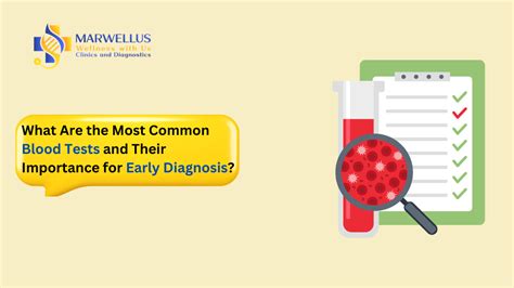 Blood Tests: Diagnose Health Issues Easily