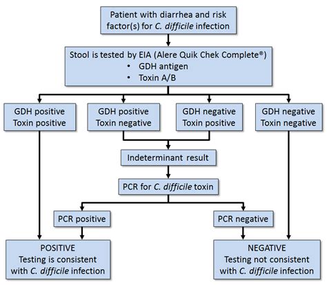 C Diff Diagnosis: Comprehensive Testing Guide