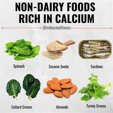 Calcium Rich Foods Non Dairy