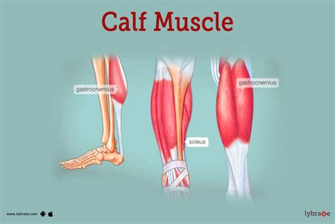 Calf Muscle Pull: Heal Faster With Simple Stretches