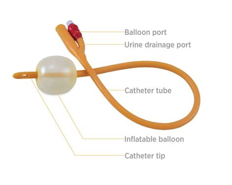 Catheters For Men: Expert Guidance