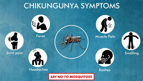 Chikungunya Signs And Symptoms