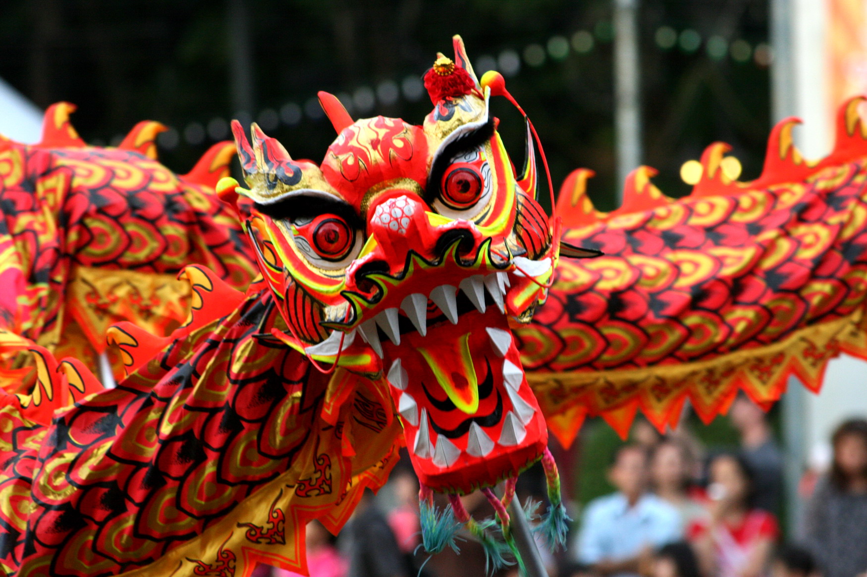 Chinese Acupuncturist Near Me: Find Best Experts