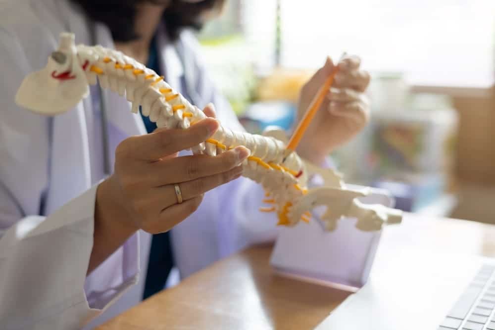 Chiropractor Treatment Pain Relief And Wellness