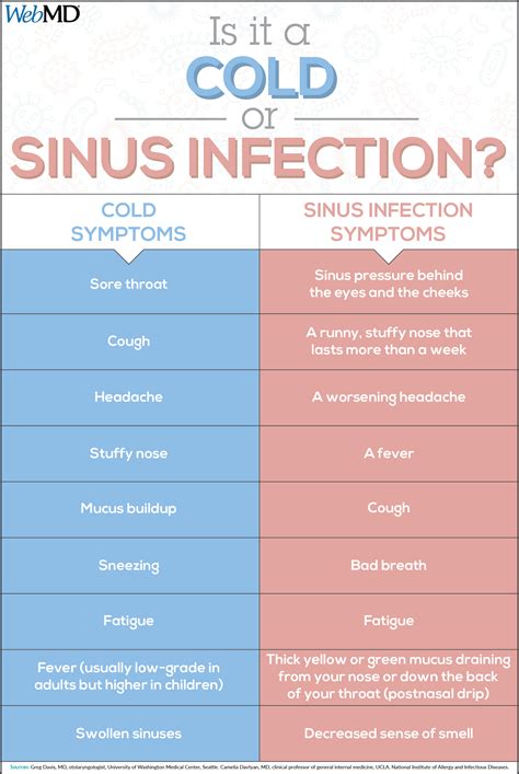 Cold And Sinus