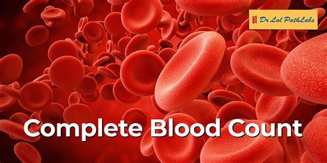 Complete Blood Count Check: Get Accurate Results
