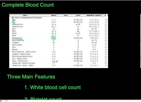 Complete Blood Count Youtube Complete Blood Count Youtube