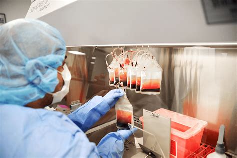 Cord Blood Storage: Protect Future Health