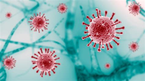 Coronavirus Covid 19