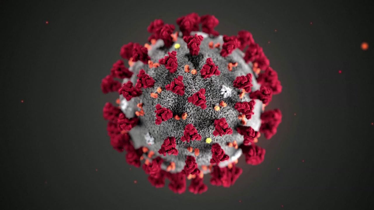 Coronavirus Pandemic Guide: Stay Safe