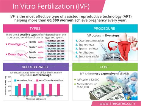 Cost In Vitro Fertilization