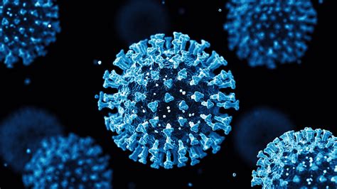 Covid 19 Variant Kp 3 Test Positivity Deaths Symptoms