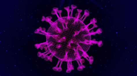 Covid Symptoms 2024