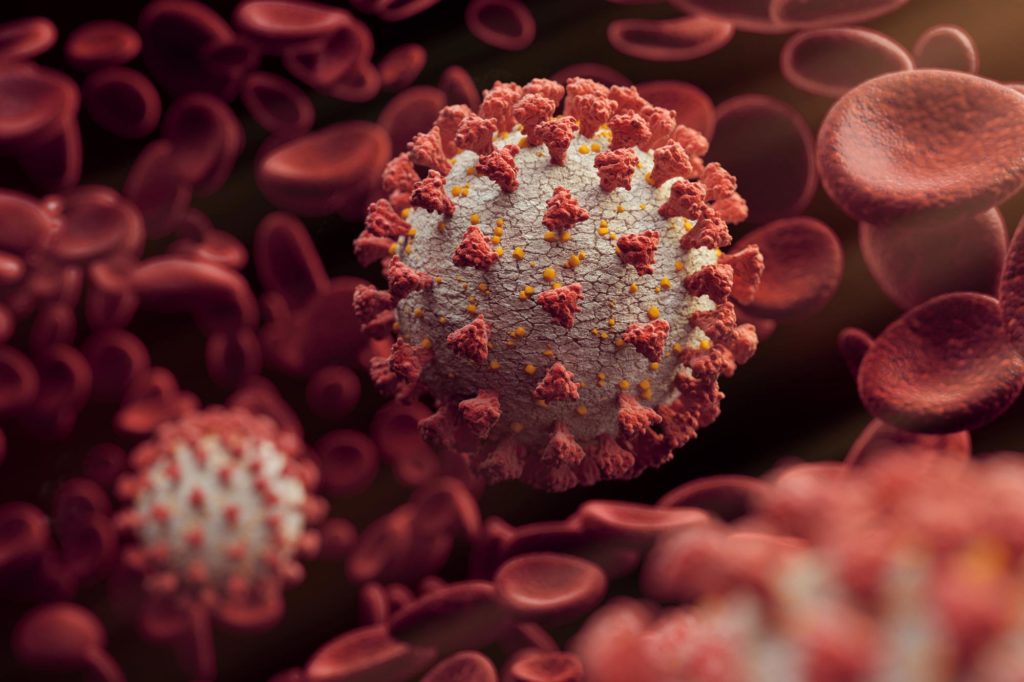 Covid Test Kit: Get Tested From Home Easily