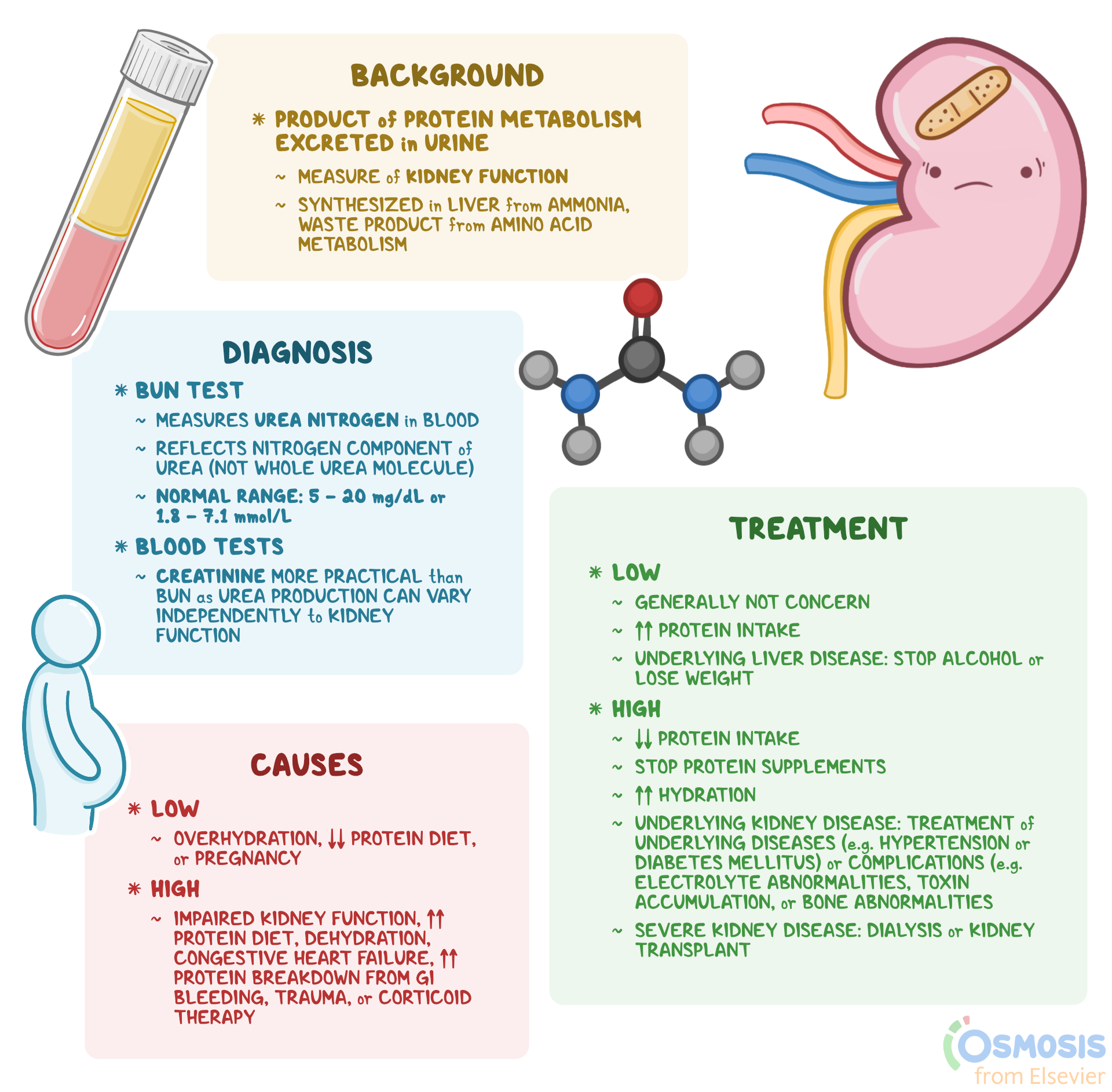 Creactive Protein Meaning