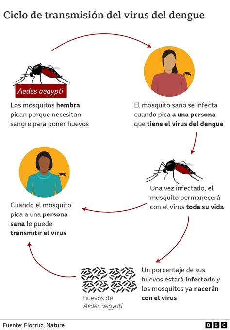Dengue Fever Vaccine Guide: Protection Explained