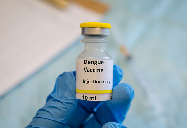 Dengue Fever Vaccine