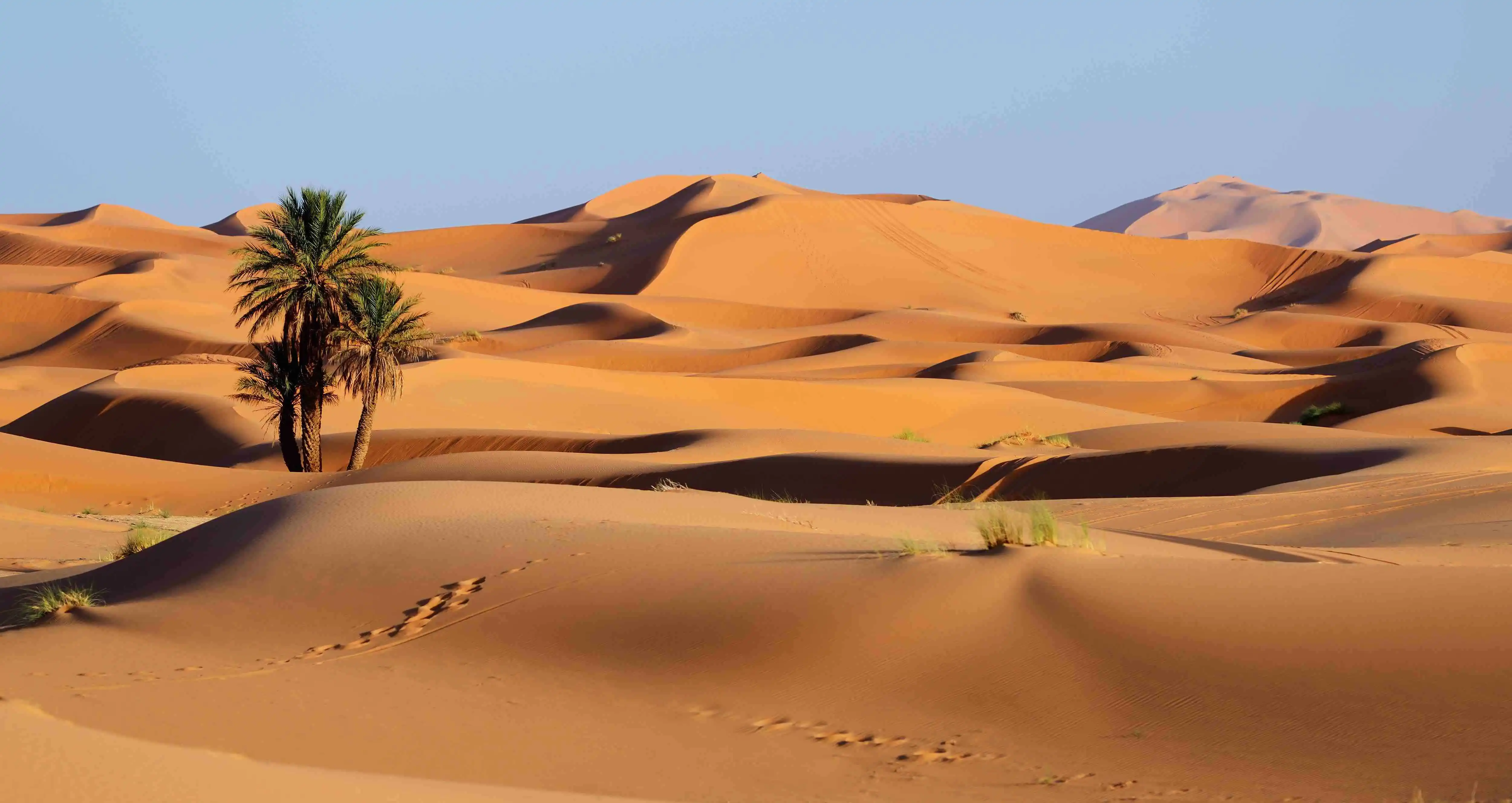Desert Banner Hospital Guide: Expert Care