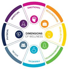 Dimensions Of Wellness Change Your Habits Change Your Life Essence Dimensions Of Wellness Change Your Habits Change Your Life Essence