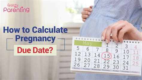 Due Date Calculator: Plan Your Pregnancy Timeline