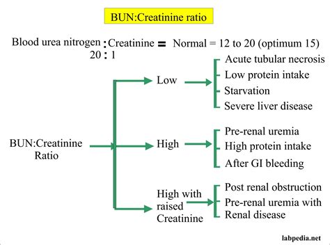 Elevated Bun/Creatinine Ratio