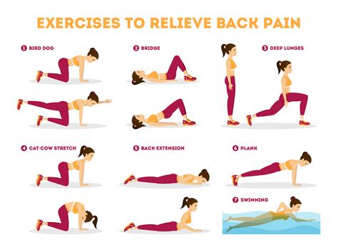 Exercises For Lower Back Pain