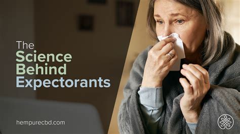 Expectorants Do What