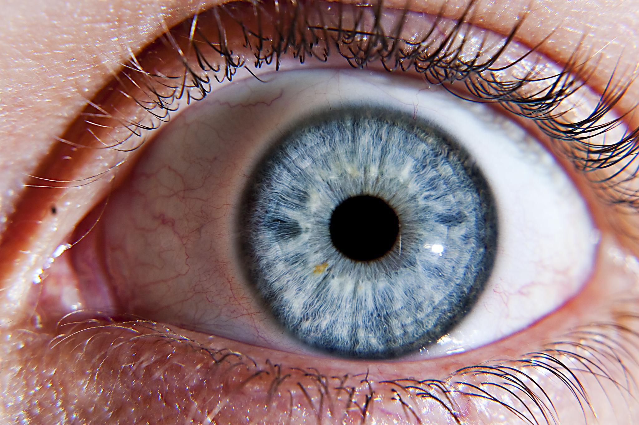 Eye Doctor Greensboro Nc: Find Best Care