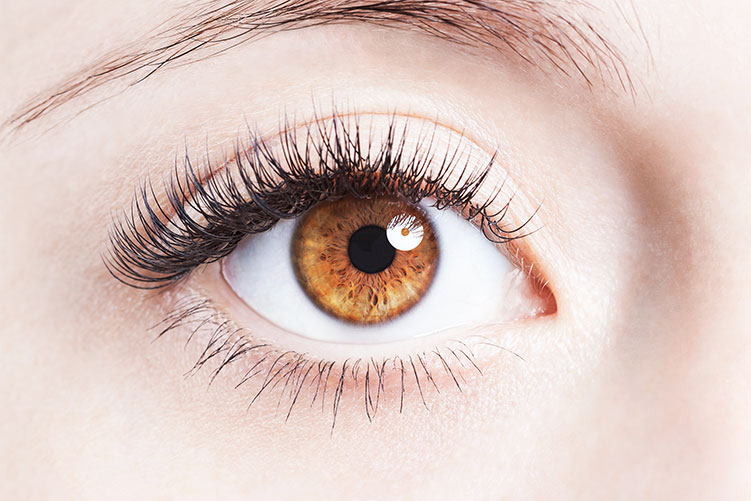 Eye Dryness Fix: Comfortable Lens Wear