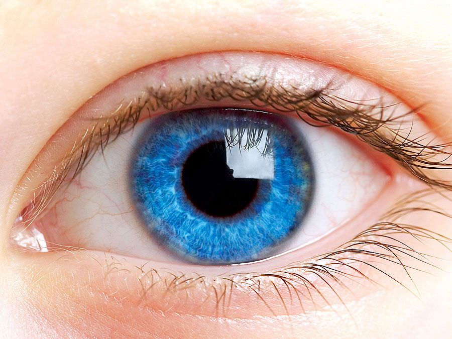 Eye Twitching Top Lid