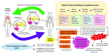 Fecal Transplant Success: Restore Balance