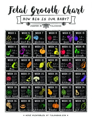 Fetal Growth Chart How Big Is My Baby Tulamama