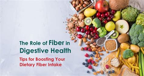 Fiber: Boosts Digestive Health