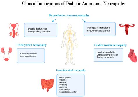 Figure 1 From Diabetic Cardiac Autonomic Neuropathy Inflammation And