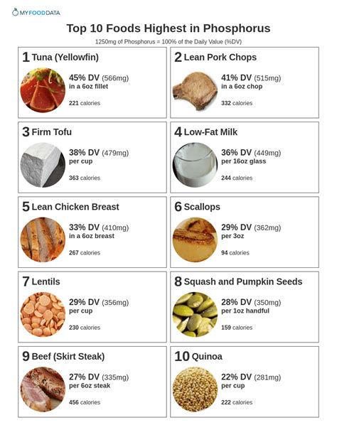 Foods With Phosphorus