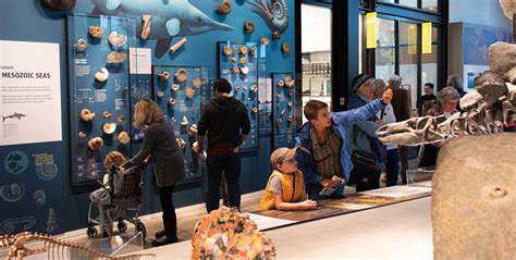 Fossils Uncovered Burke Museum