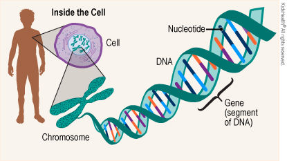 Genetic Methylation Test Near Me