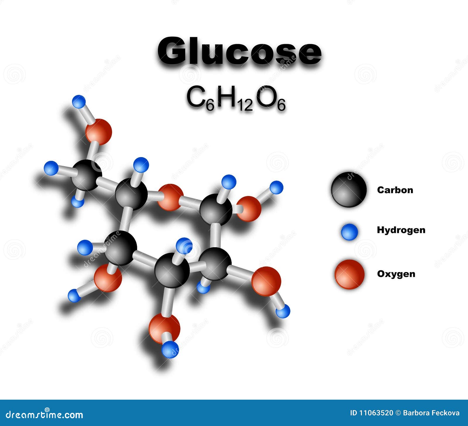 Glucose Control Guide: Normal Levels Explained