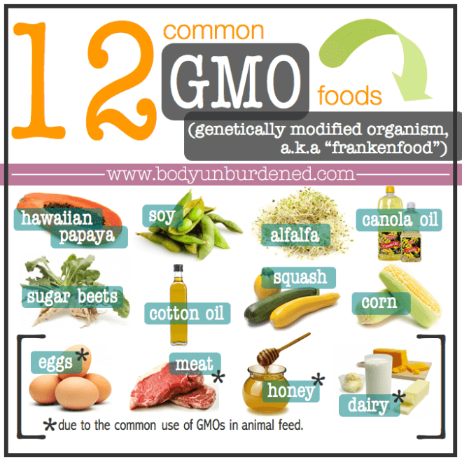 Gmo Foods List: Know What You Eat