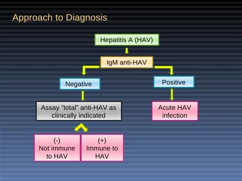 Hep A Ab Total Positive
