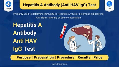 Hepatitis A Antibody