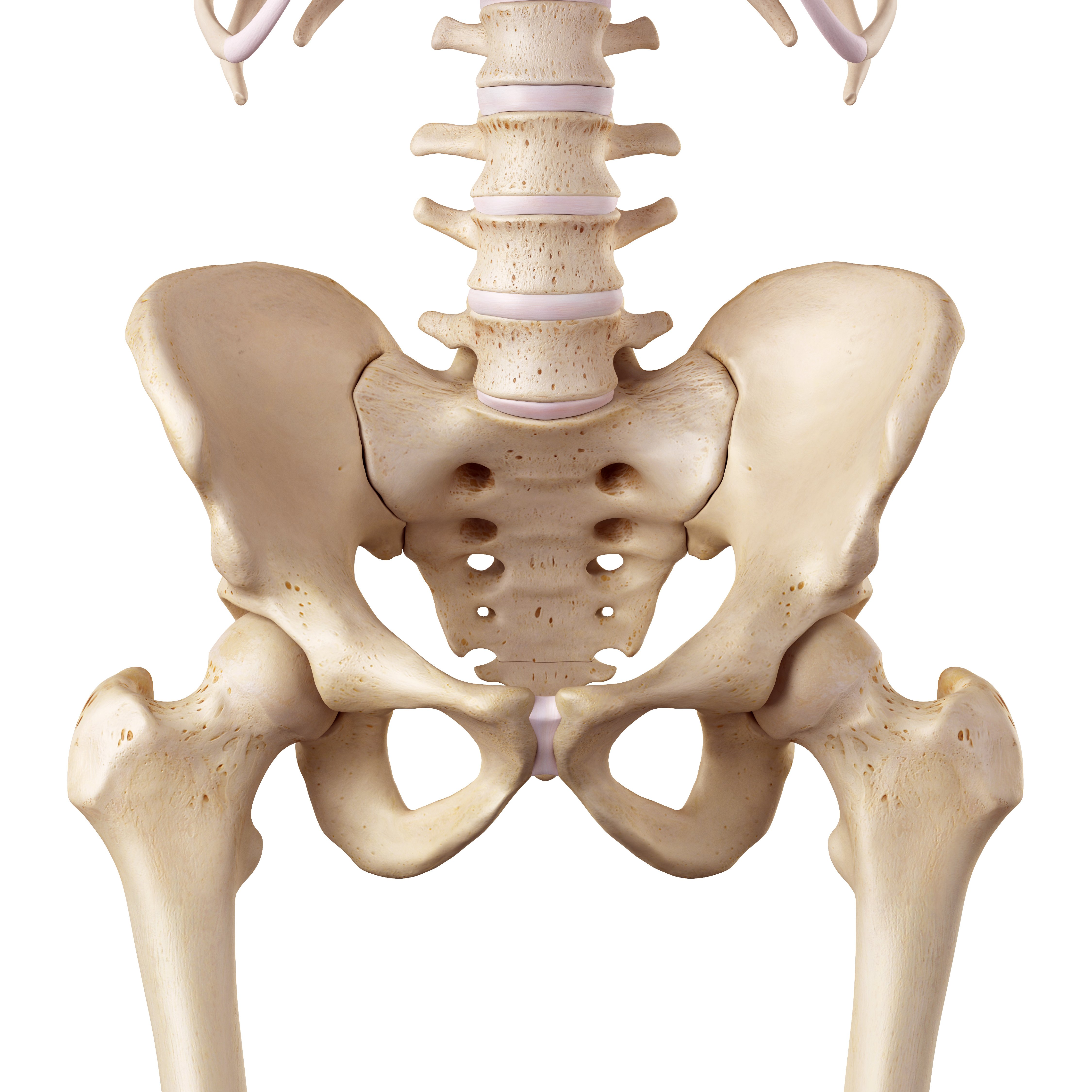 Hip Joint Effusion