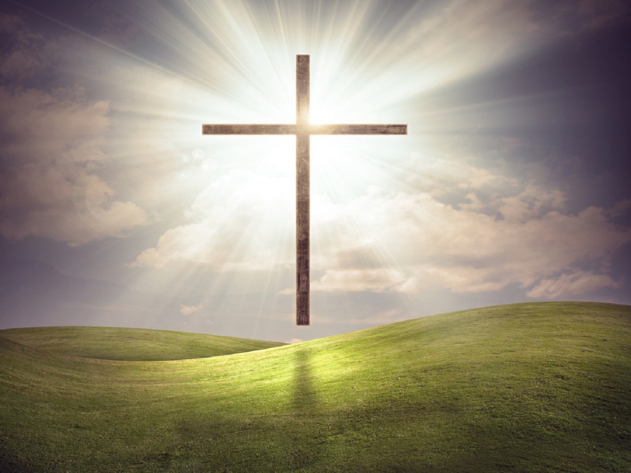 Holy Cross Hospital: Healing With Compassion Always