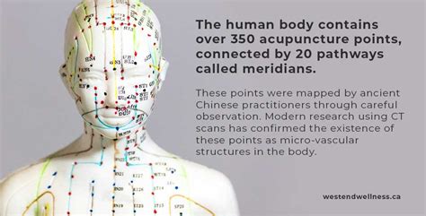 How Does Acupuncture Work