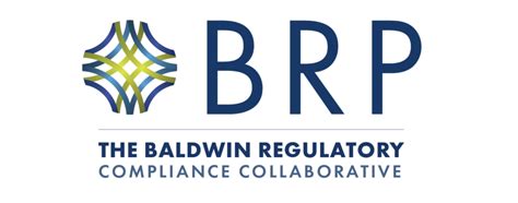 How Does Baldwin Risk Partners Work? Get Instant Quotes
