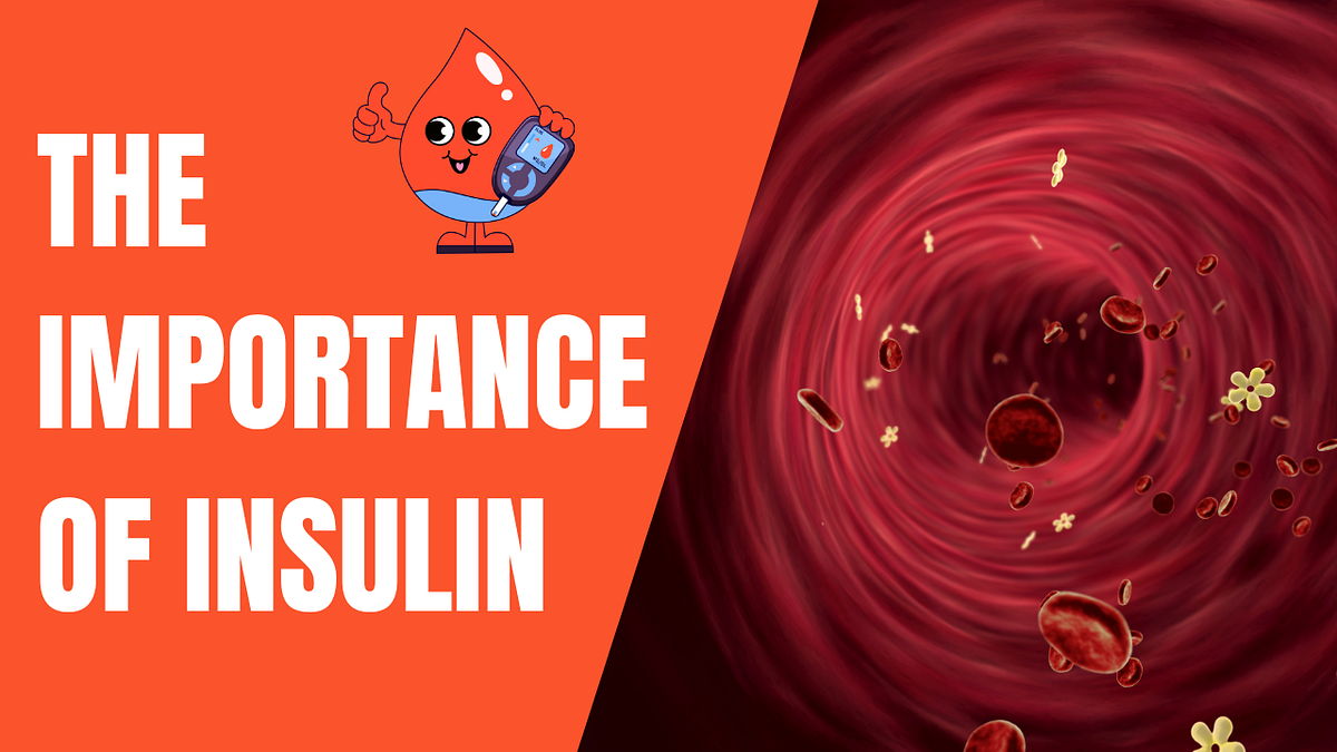 How Does Basal Insulin Work? Regulate Blood Sugar